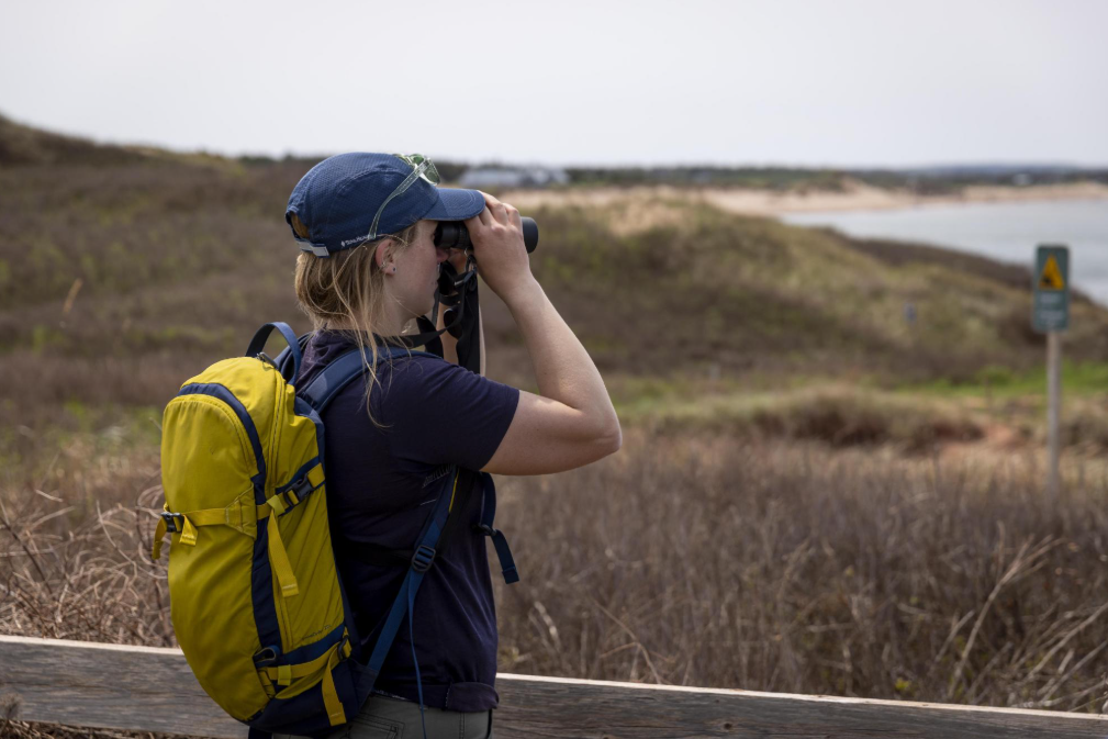 Peregrine Accelerator participant at their kickoff gathering at Prince Edward Island.